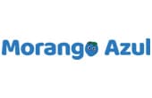 Morango Azul - CRO - Otimização de Site | Google Ads